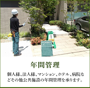 年間管理