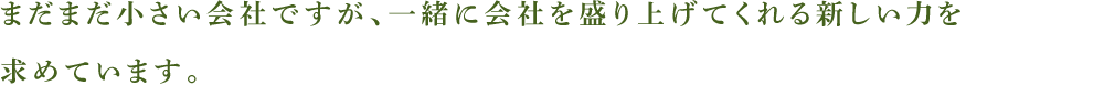 まだまだ小さい会社ですが、一緒に会社を盛り上げてくれる新しい力を求めています。