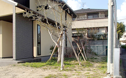 Step.2 現地調査